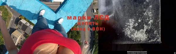 эйфоретик Аркадак