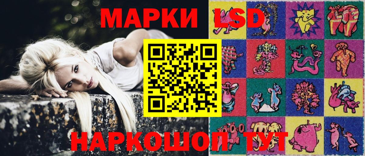 Псилоцибиновые грибы Ревда