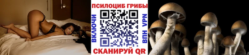 где продают ОМГ ОМГ ССЫЛКА Псилоцибиновые грибы Magic Shrooms Ревда
