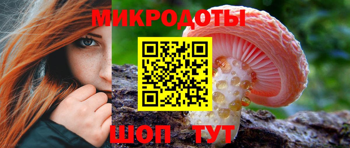Псилоцибиновые грибы Cubensis Ревда
